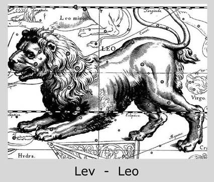 Lev